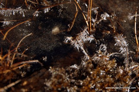 Ice in the morning sun