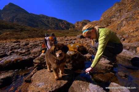 Filling up the bottles